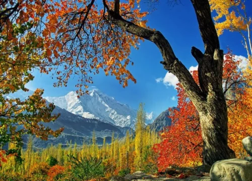 Hunza Valley Adventure Tour