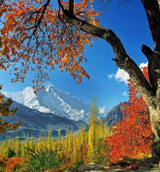 Hunza Valley Adventure Tour