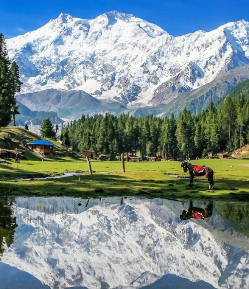 Fairy Meadows