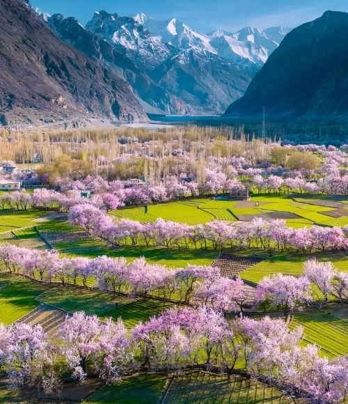 Members are Saving up to 50%