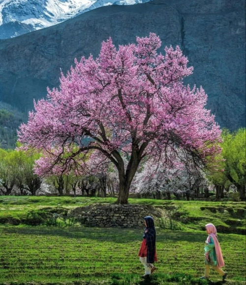 Gilgit Baltistan